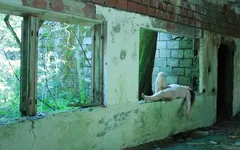 eb2c5323-9511-4b81-b422-08b32688a152