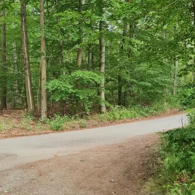 77617861-95ec-456e-afe0-8853c5faa98d