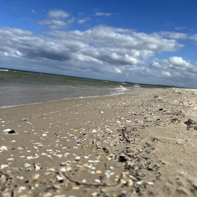 be31bbfe-2341-45b6-b5de-5ff724793abe