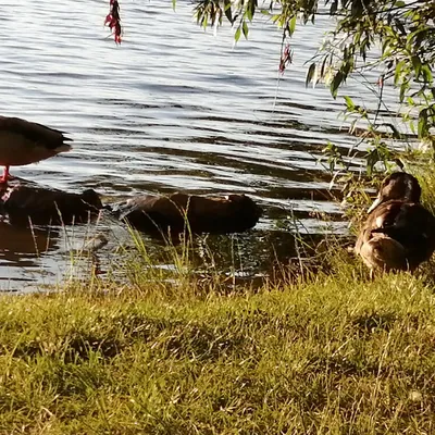 c27495d4-11a7-4af0-980c-b046ba80b59d